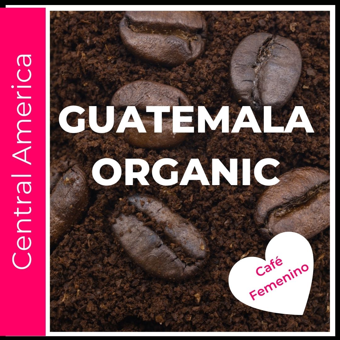 Guatemala Coffee. Light letters on top of rich brown roasted coffee. This is a title page image to click into the various size and consistency options available. This is a picture of coffee beans sitting on ground coffee on a bright hot pink colored background to denote this coffee comes from the main coffee growing region of Central America. A heart shape announces this is a Cafe Feminino coffee sourced from an all women co operative with the goal of quality and philanthropy.