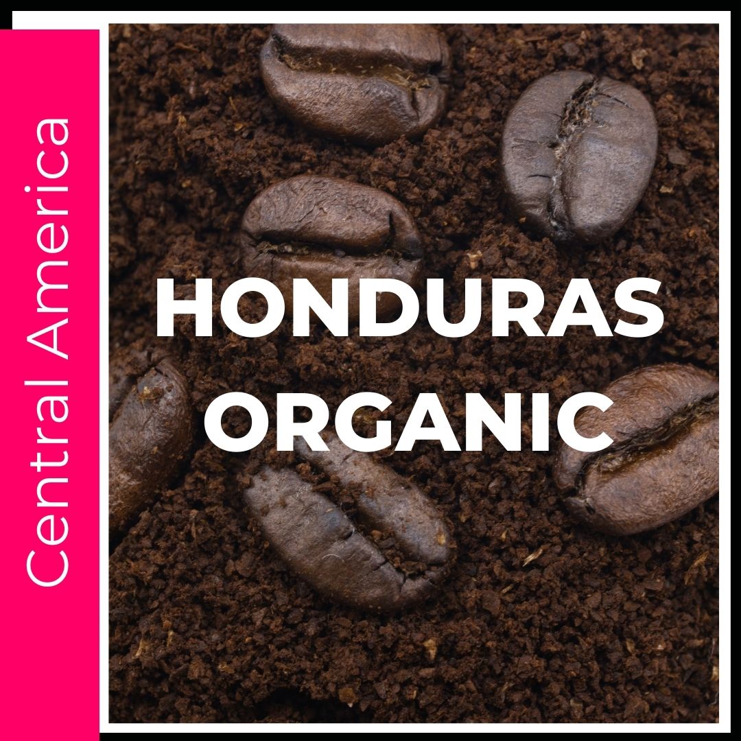 Honduras Organic Coffee. Light letters on top of rich brown roasted coffee. This is a title page image to click into the various size and consistency options available. This is a picture of coffee beans sitting on ground coffee on a bright hot pink colored background to denote this coffee comes from the main coffee growing region of Central America. 